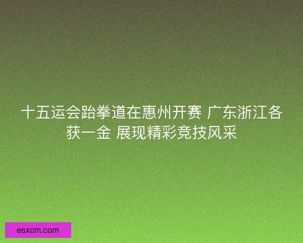 十五运会跆拳道在惠州开赛 广东浙江各获一金 展现精彩竞技风采