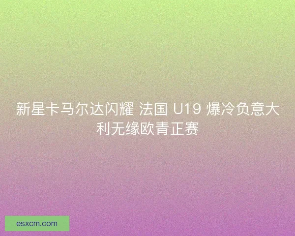 新星卡马尔达闪耀 法国 U19 爆冷负意大利无缘欧青正赛