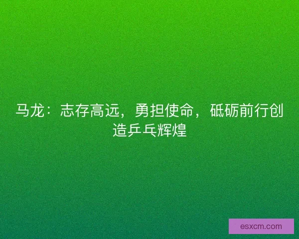马龙：志存高远，勇担使命，砥砺前行创造乒乓辉煌