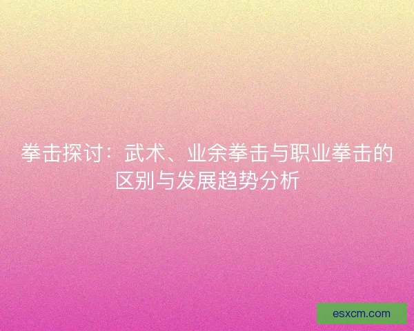 拳击探讨：武术、业余拳击与职业拳击的区别与发展趋势分析