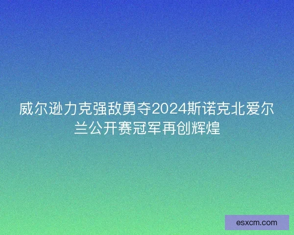 威尔逊力克强敌勇夺2024斯诺克北爱尔兰公开赛冠军再创辉煌