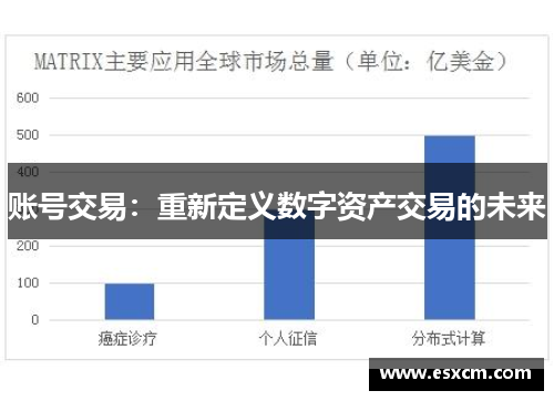 账号交易：重新定义数字资产交易的未来